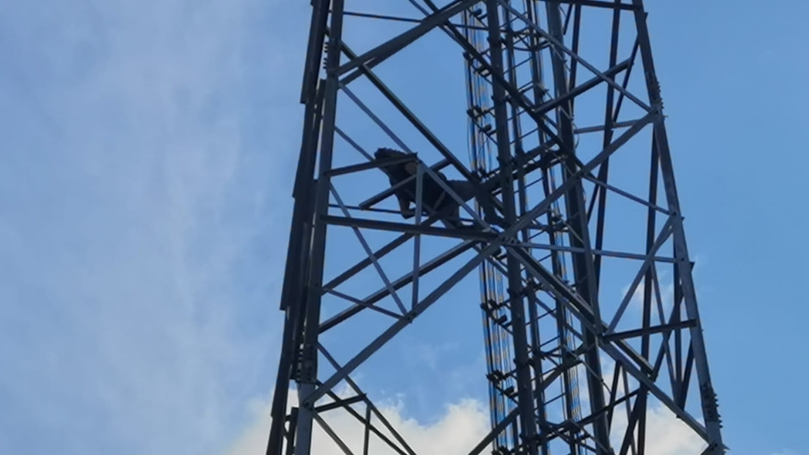 Yer: Bursa… Çıktığı direkte sızdı Yer: Bursa… Çıktığı direkte sızdı