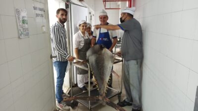 Balık sezonu sıkı denetimle başladı