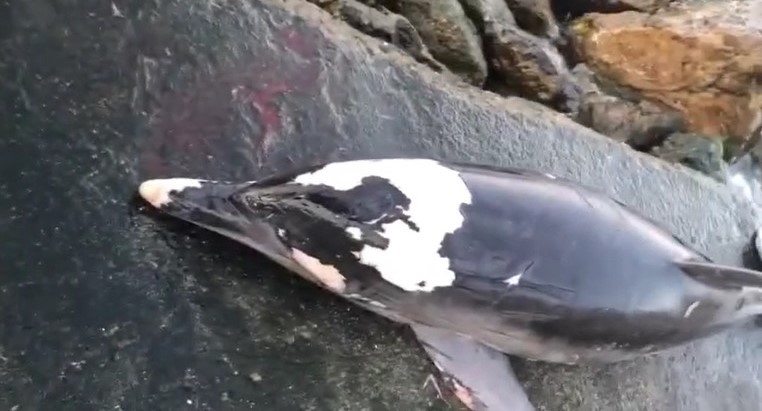 Bursa’da korkutan görüntü Bursa’da korkutan görüntü