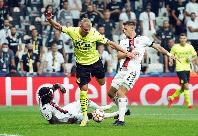3 yıllık aranın ardından yeniden Şampiyonlar Ligi'nde boy gösteren Beşiktaş,