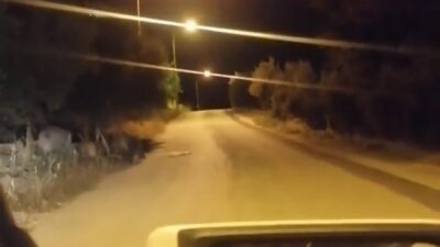 Bursa’da aç kalan domuz sürüsü şehre indi