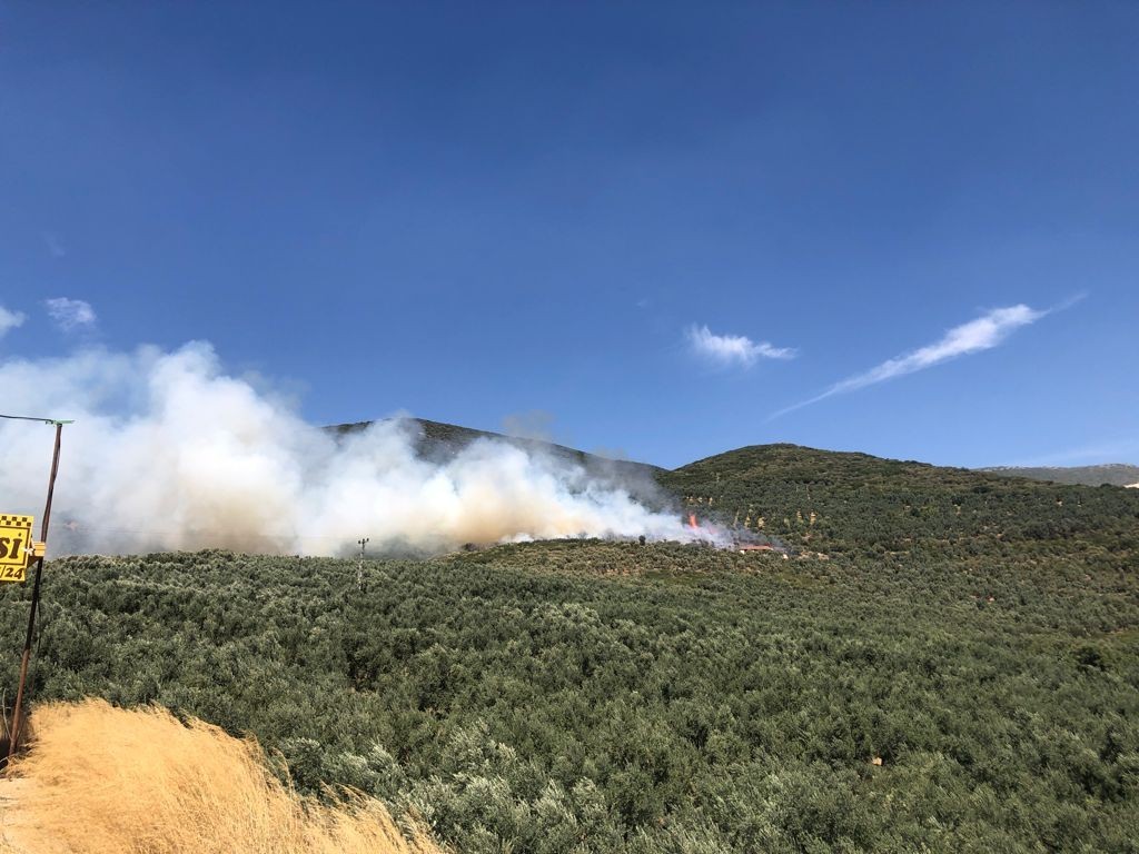 Bursa’da hastane yakınında yangın çıktı Bursa’da hastane yakınında yangın çıktı