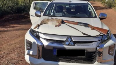 Bursa’da kaçak avcılara geçit yok