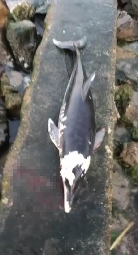 Bursa’da korkunç olay Bursa’da korkunç olay