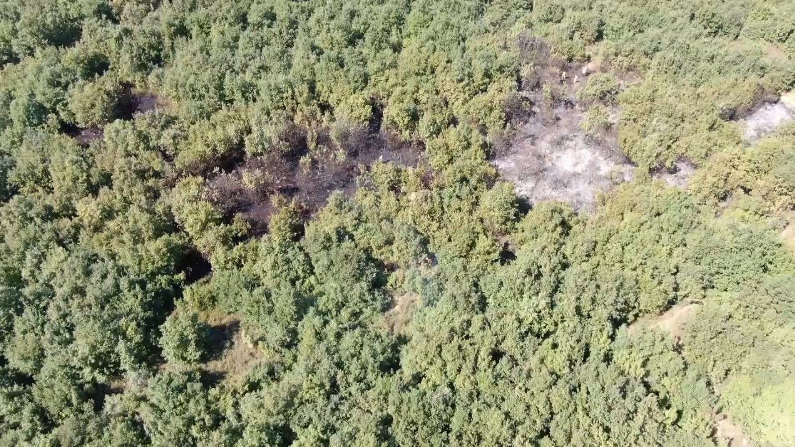 Bursa’da yerleşim alanında yangın Bursa’da yerleşim alanında yangın