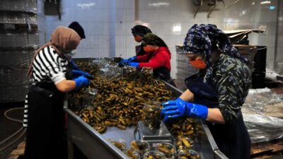 Adını duyan Bursa’nın bu köyüne geliyor! Nüfusu iki katına çıkıyor