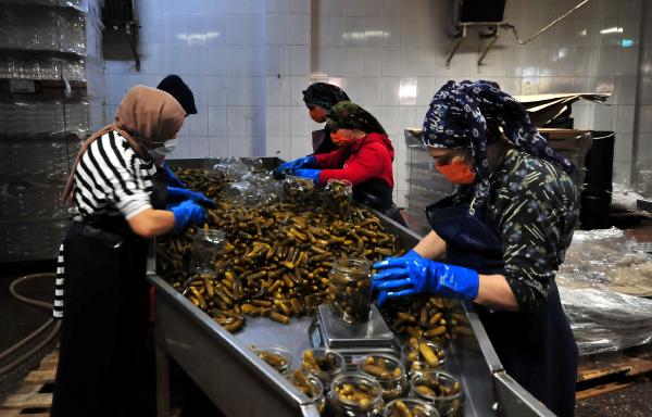 Adını duyan Bursa’nın bu köyüne geliyor! Nüfusu iki katına çıkıyor