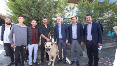 Çoban köpekleri İnegöl’de yarıştı