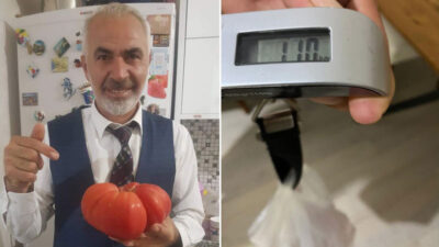 Yer: Bursa… Görenleri şaşırtıyor