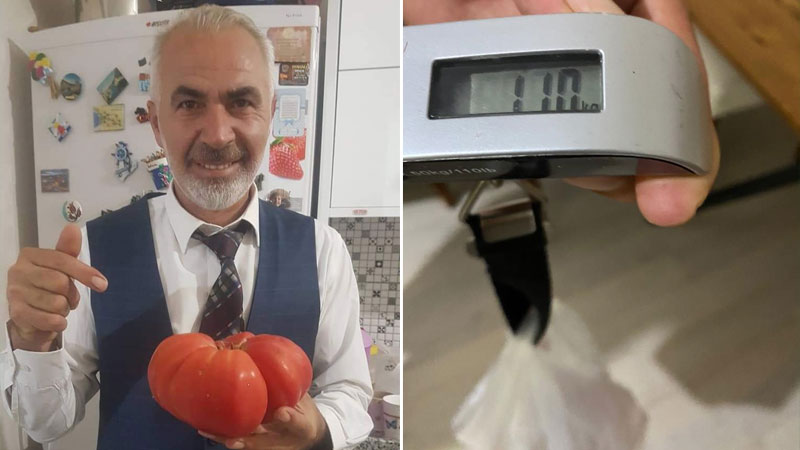 Yer: Bursa… Görenleri şaşırtıyor