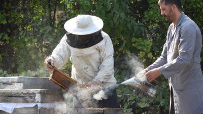 Dünyanın ağzının tadı Bursa’dan
