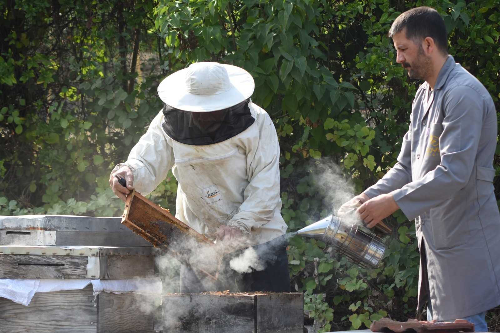 Dünyanın ağzının tadı Bursa’dan