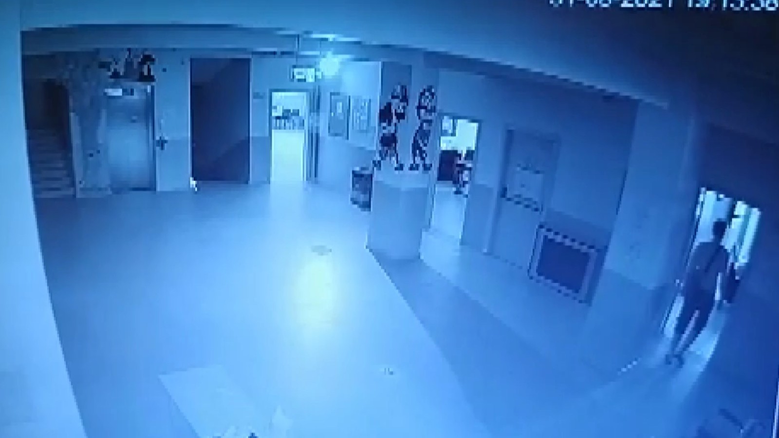 Bursa’da okul fareleri kameraya yakalandı