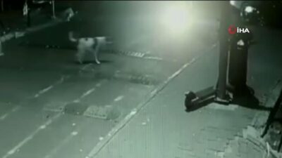 Daha fazla dayanamadı! Takside doğum yaptı