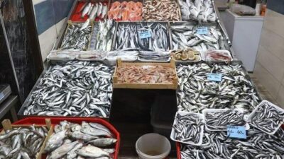 Av sezonu başladı, balıkçının yüzü gülüyor