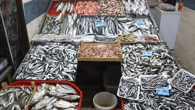 Av sezonu başladı, balıkçının yüzü gülüyor