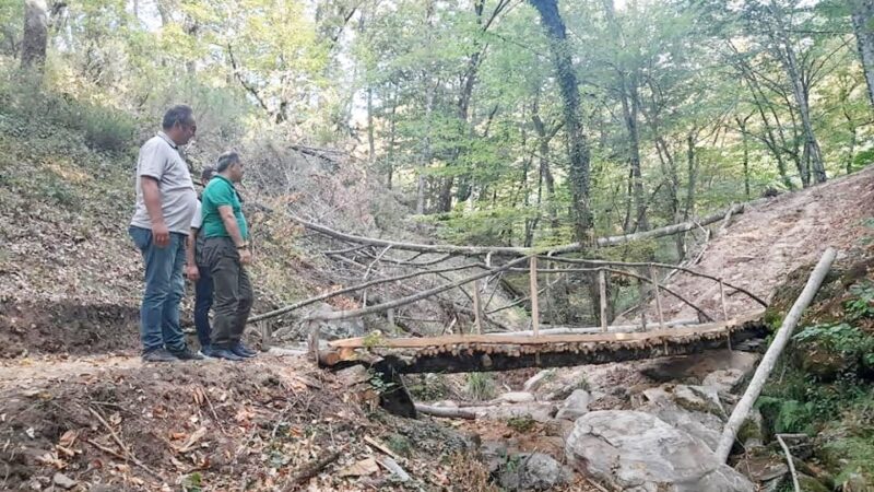 Suuçtu eko turizm projesinde sona doğru Bursa Orman Bölge Müdürü Yalçın Akın, Suuçtu Şelâlesi ve Tabiat