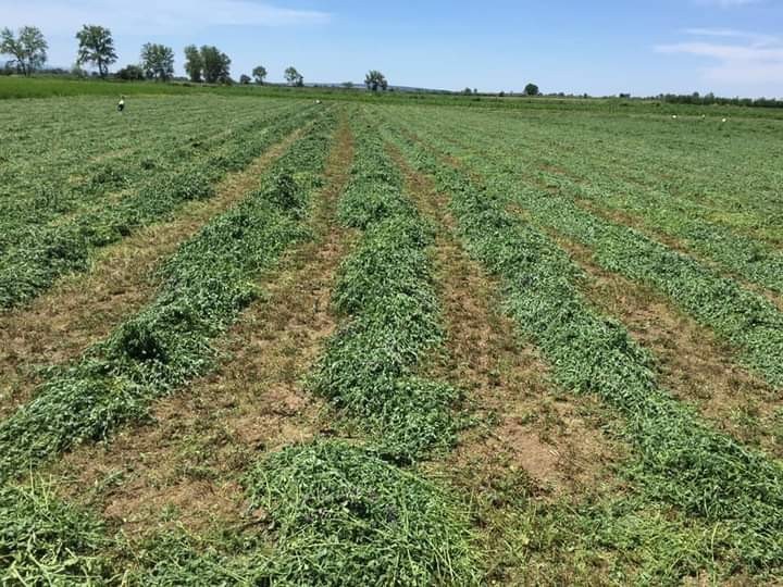 Karayolları Bursa’da iki tarlayı satışa çıkardı… Karayolları Bursa’da iki tarlayı satışa çıkardı…