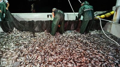 Hasret bitti: Balıkçılar ‘Vira Bismillah’ dedi