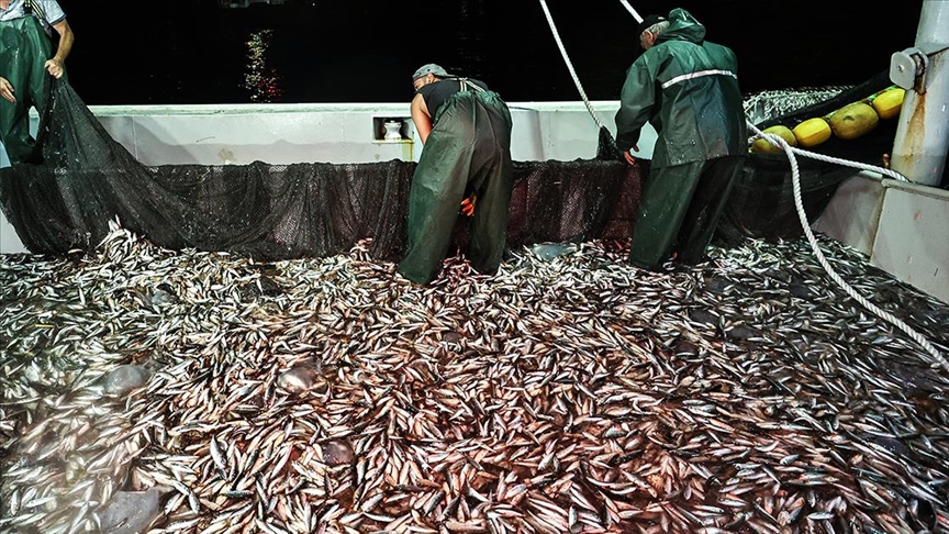 Hasret bitti: Balıkçılar ‘Vira Bismillah’ dedi