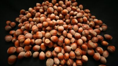 Doğu Karadeniz’den 8 ayda 919 milyon 510 bin dolarlık ihracat