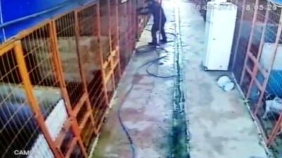 Vahşet! Acımasızca katletti