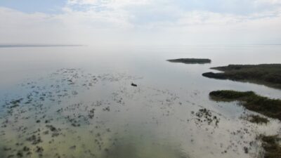 Görüntüler Bursa’dan… Can çekişiyor…