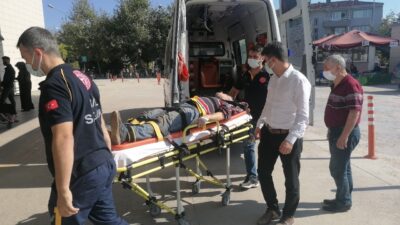 Bursa’da yaşlı adam ceviz ağacının kurbanı oluyordu