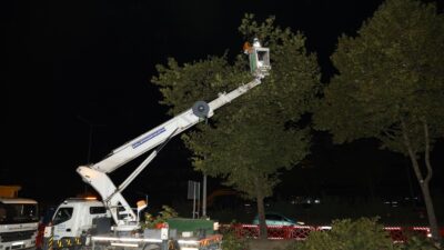 Bursa’da yeni metro hattındaki ağaçlar kesilmek yerine taşındı