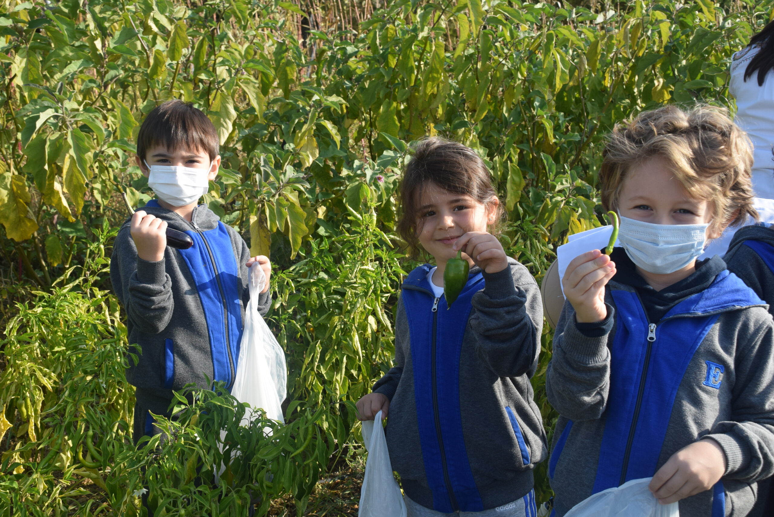 Emine Örnek’ten ‘Dünya Gıda Günü’ etkinliği Emine Örnek’ten ‘Dünya Gıda Günü’ etkinliği