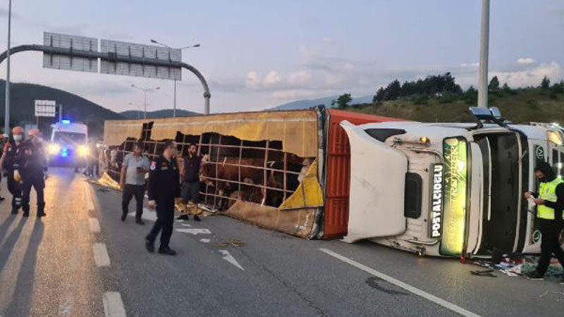 Bursa'da, virajda devrilen TIR’ına çarpan otomobilin sürücüsü Yusuf Şal’ın (36)