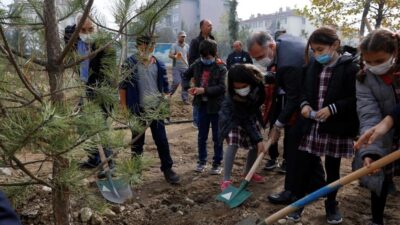 İnegöl’de 63 ağaç toprakla buluştu