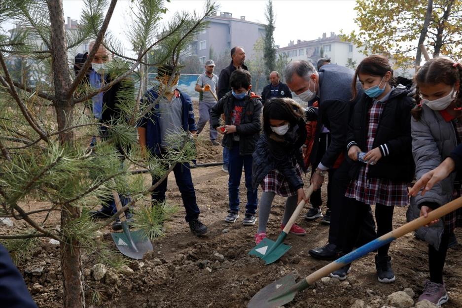 İnegöl’de 63 ağaç toprakla buluştu İnegöl’de 63 ağaç toprakla buluştu