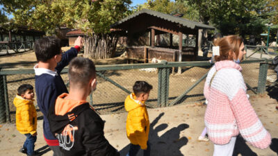 Bursa Hayvanat Bahçesi’nin özel konukları