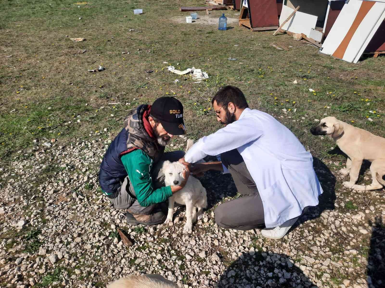 Bursa’da 360 sokak hayvanının aşıları yapıldı