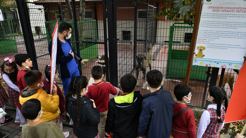 Barınak kapılarını hayvan severlere açtı
