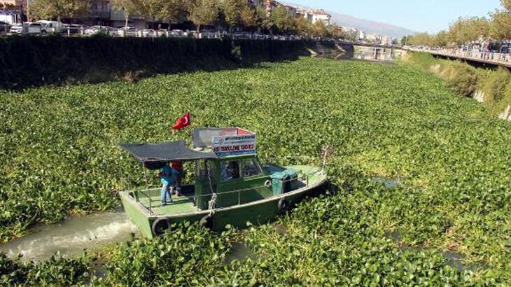 Burası Asi Nehri! Hatay’dan şaşırtan fotoğraflar