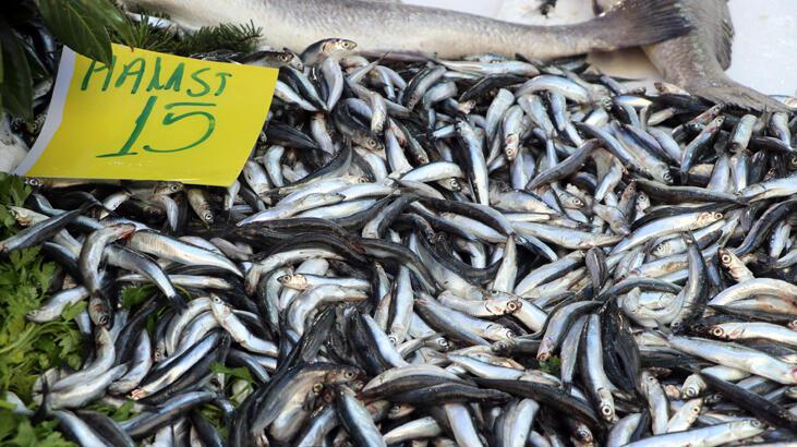 Hamsi bolluğu tezgahlarda fiyatlara yansıdı