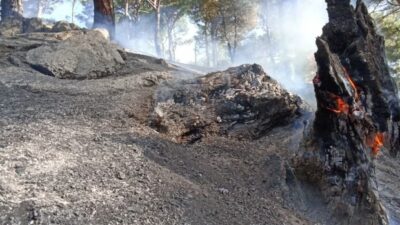 Kazdağları’ndaki yangın kontrol altına alındı