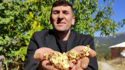 Bursa’da kilosu 30 liraya bir yıl önceden satılıyor