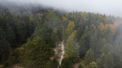 Tablo gibi görüntüler! Sonbaharda Uludağ büyülüyor