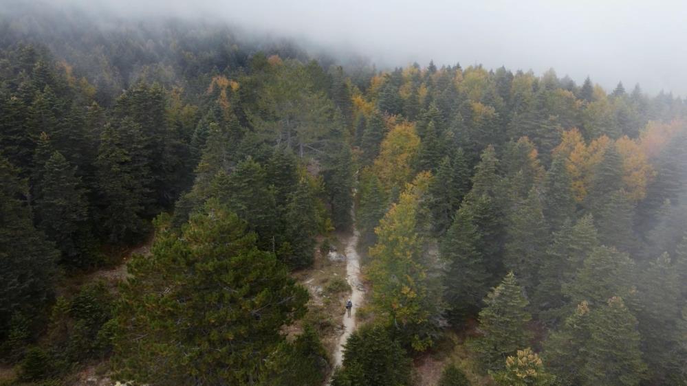 Tablo gibi görüntüler! Sonbaharda Uludağ büyülüyor