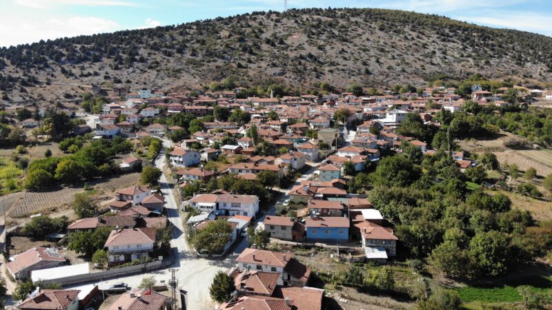 Bursa’da ilginç tedavi yöntemi! Bursa'da böbrek taşı rahatsızlığı çeken köylüler, böbrek taşlarını köyün bozuk