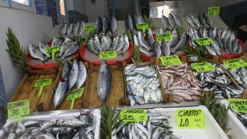 Marmara’da sıcaklık düştü, balık fiyatları geriledi