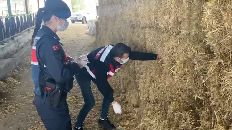 Bursa’da jandarmayı harekete geçiren ihbar! Samanların arasında… Bursa İl Jandarma ekipleri tarafından yapılan operasyonda, saman balyalarının arasına