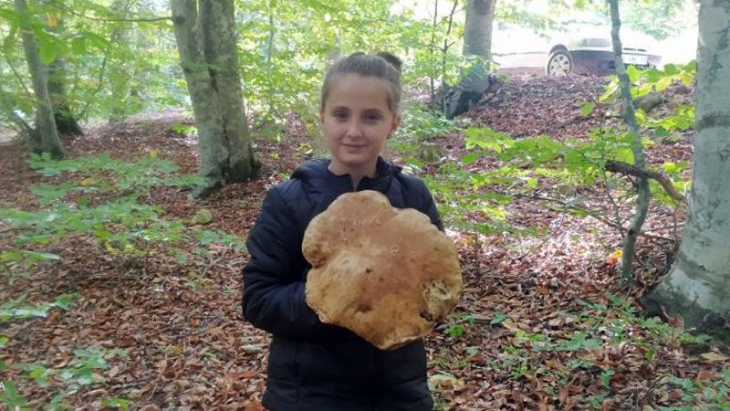 Bursa’da bulundu! Tam 2 kilo… Bursa'da mantar avcısı minik kız ormanda gezerken 2 kiloluk dev