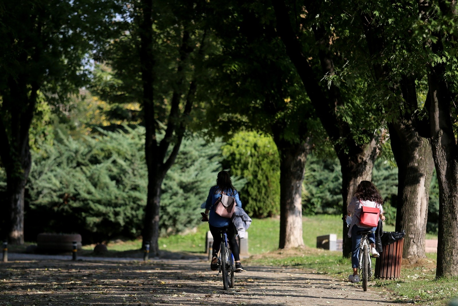 Botanik Park’ta sonbahar güzelliği! Renkli görüntüler