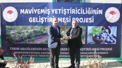 Bursa’da üreticilere ‘mavi yemiş’ fidanı dağıtıldı