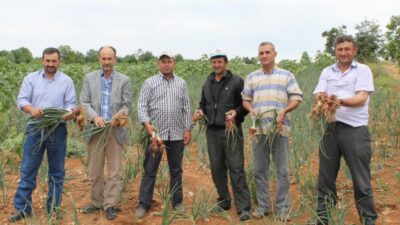 Yağmurlar geç yağdı! Bursalı üretici dertli