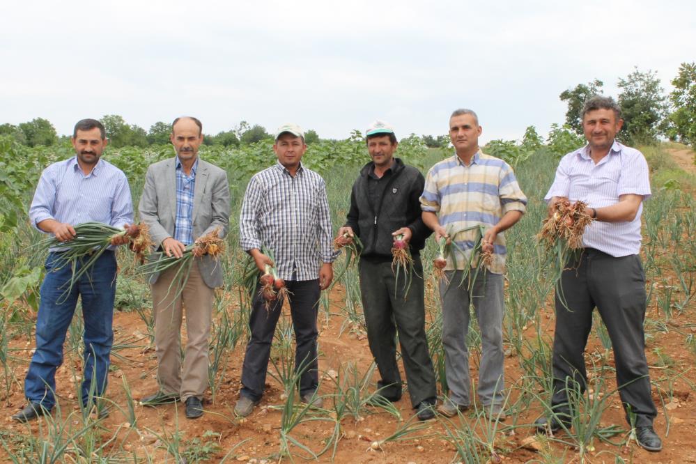 Yağmurlar geç yağdı! Bursalı üretici dertli